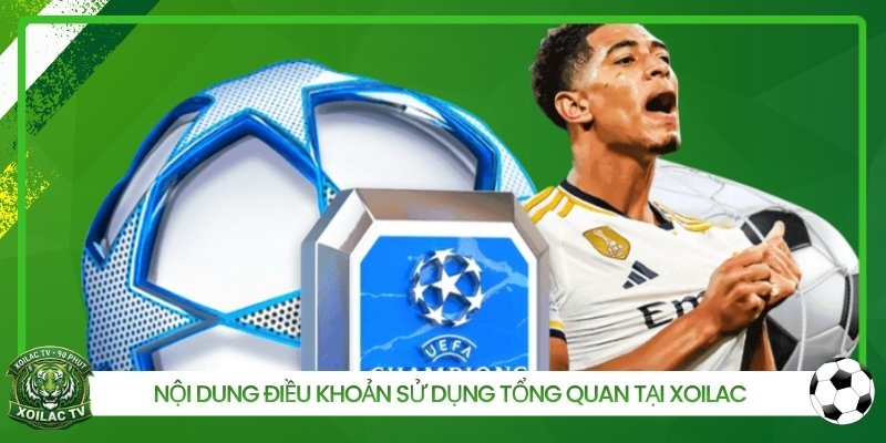 Nội dung điều khoản sử dụng tổng quan tại Xoilac