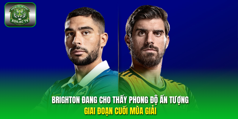 Brighton đang cho thấy phong độ ấn tượng giai đoạn cuối mùa giải