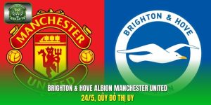 Brighton & Hove Albion Manchester United