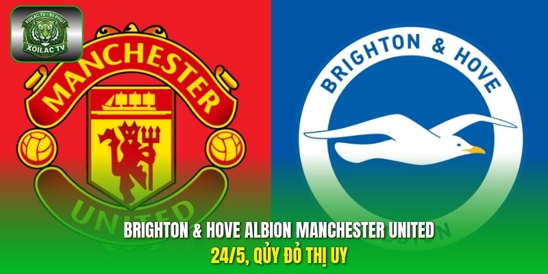 Brighton & Hove Albion Manchester United