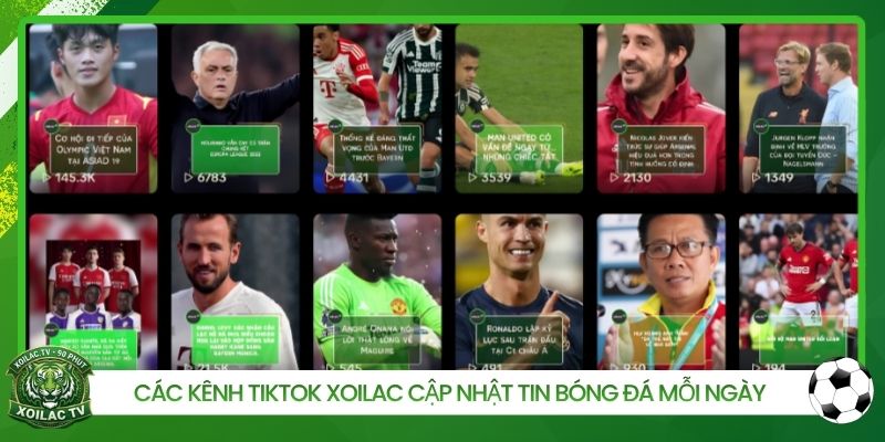 Các kênh Tiktok Xoilac cập nhật tin bóng đá mỗi ngày