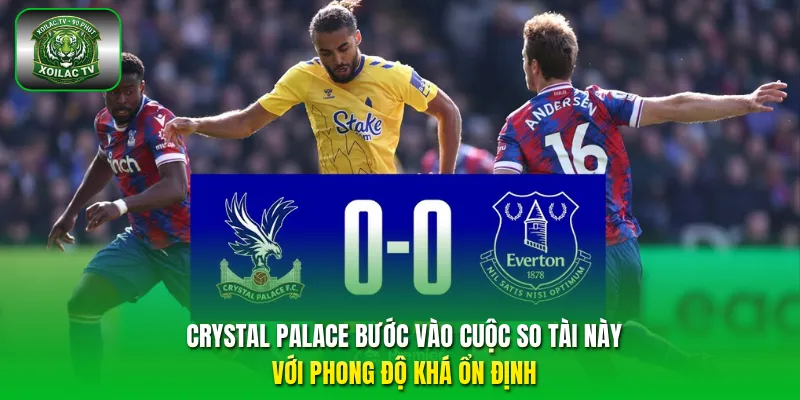 Crystal Palace bước vào cuộc so tài này với phong độ khá ổn định.