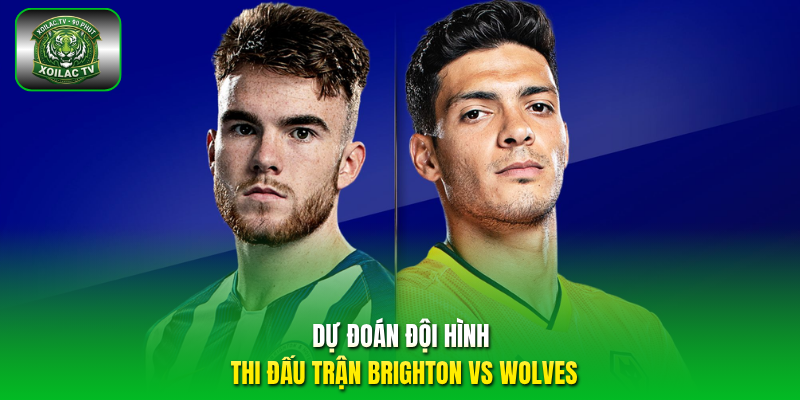 Dự đoán đội hình thi đấu trận Brighton vs Wolves