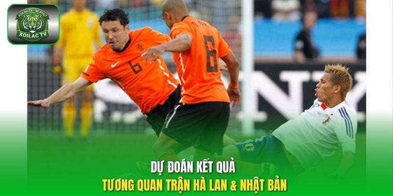Dự đoán kết quả tương quan trận Hà Lan & Nhật Bản