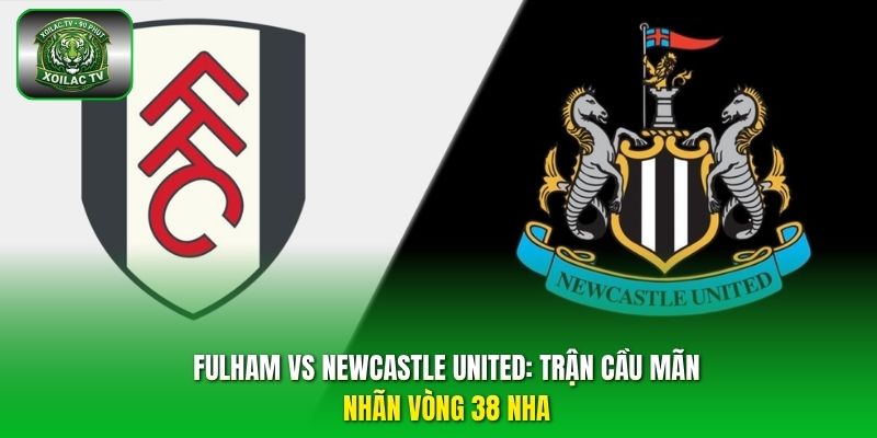 Fulham vs Newcastle United