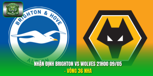 Brighton Vs Wolves