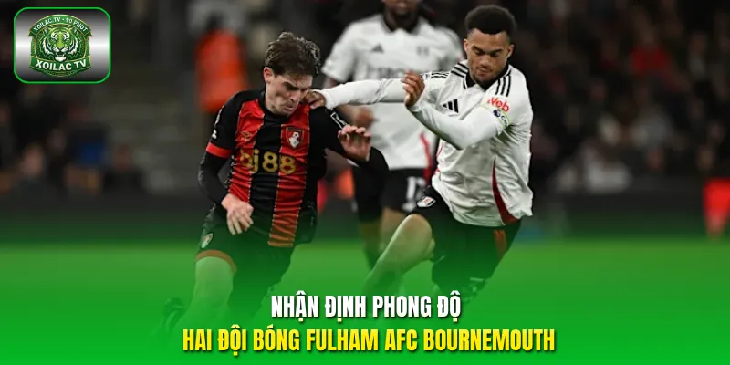 Với lợi thế sân nhà và khả năng kiểm soát bóng tốt Fulham vẫn có cơ hội thắng.