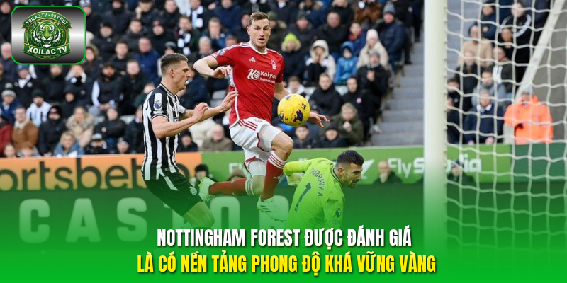 Nottingham Forest được đánh giá là có nền tảng phong độ khá vững vàng.