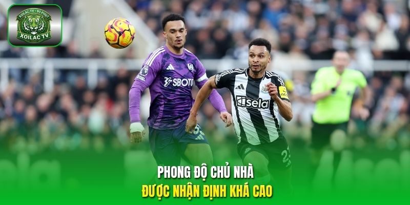 Phong độ chủ nhà được nhận định khá cao