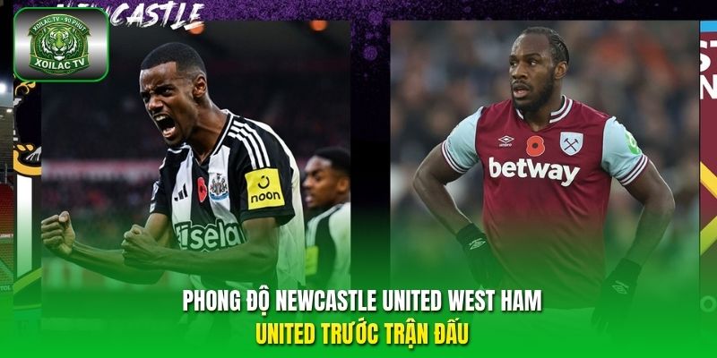 Newcastle đang giữ phong độ ổn định hơn, vì được thi đấu trên sân nhà.