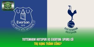 Tottenham Hotspur vs Everton