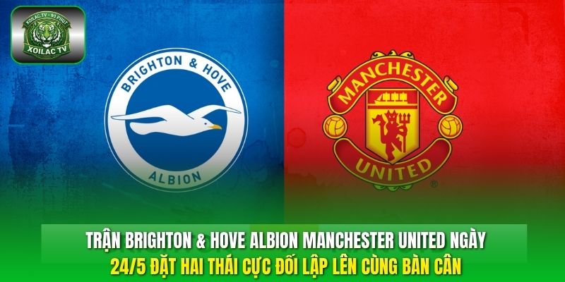 Trận Brighton & Hove Albion Manchester United ngày 24/5 đặt hai thái cực đối lập lên cùng bàn cân.