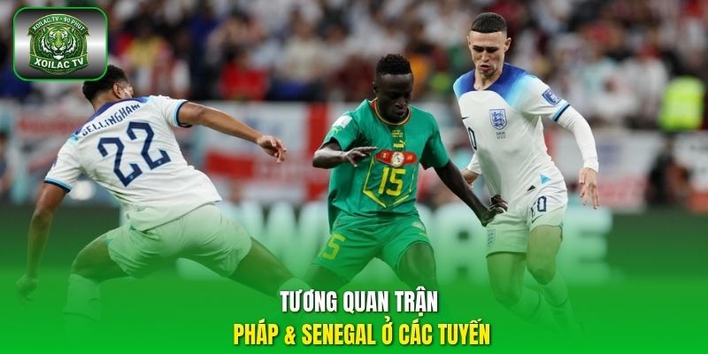 Tương quan trận Pháp & Senegal ở các tuyến